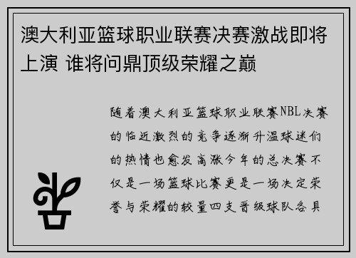 澳大利亚篮球职业联赛决赛激战即将上演 谁将问鼎顶级荣耀之巅